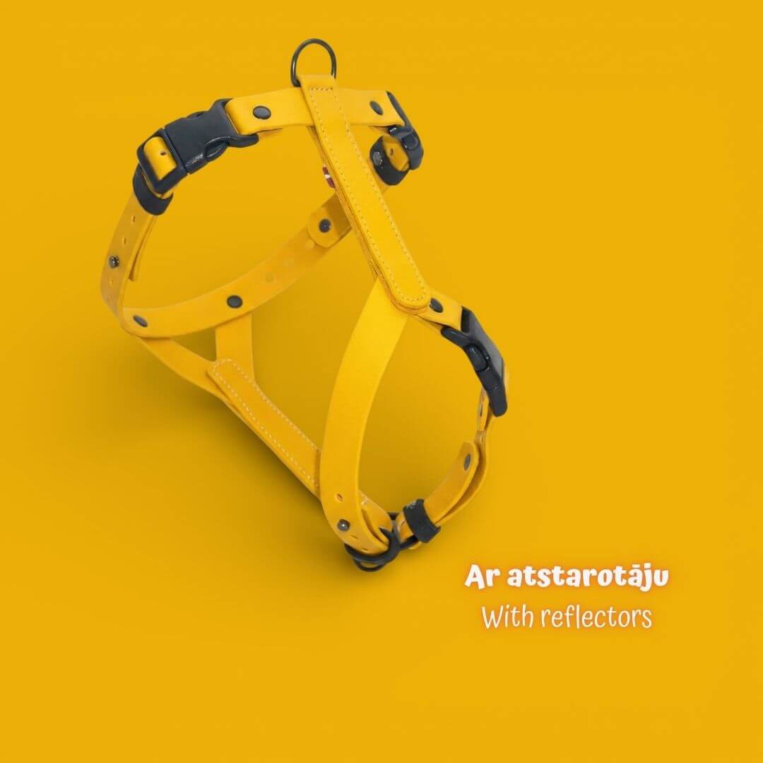 EasyFit anatomiski pareizi - ūdensdroši iemaukti suņiem