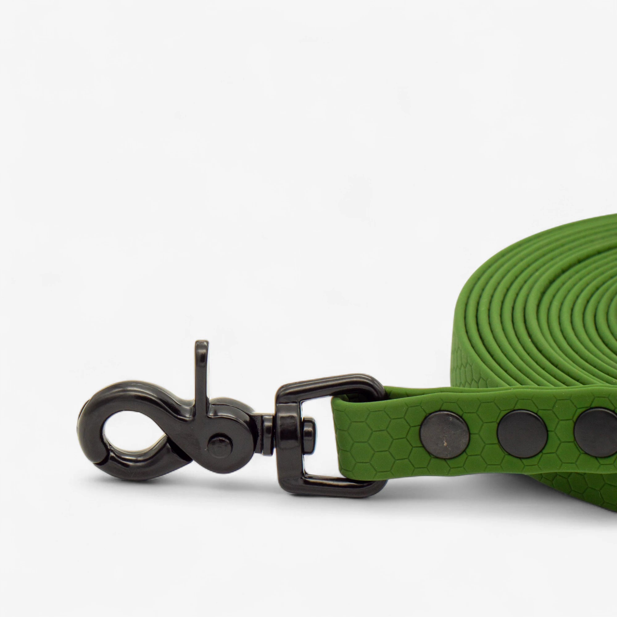 Hexa Dog Walking Leash - Olive