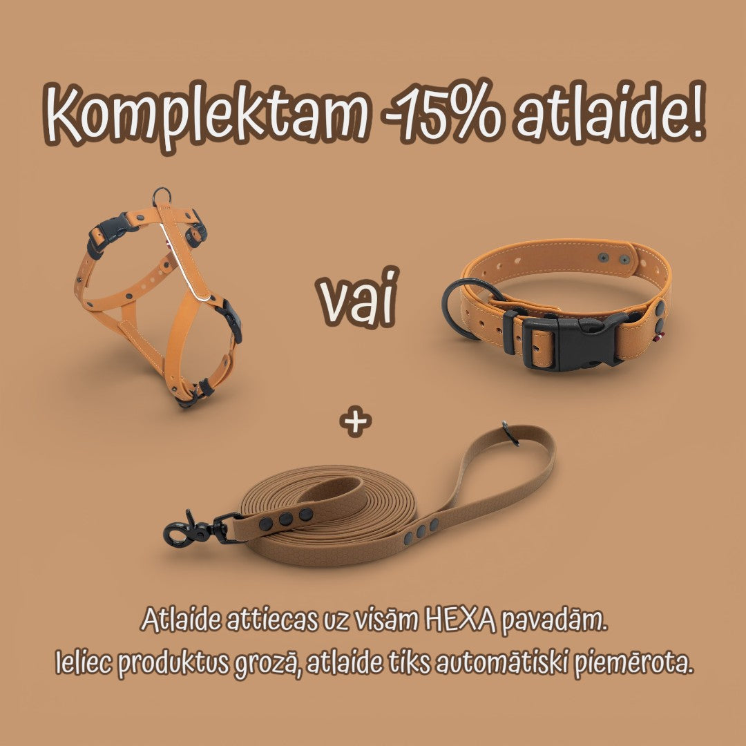 Hexa pastaigu pavada suņiem - Brūna