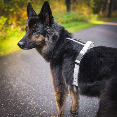 EasyFit anatomiski pareizi - ūdensdroši iemaukti suņiem - Balti