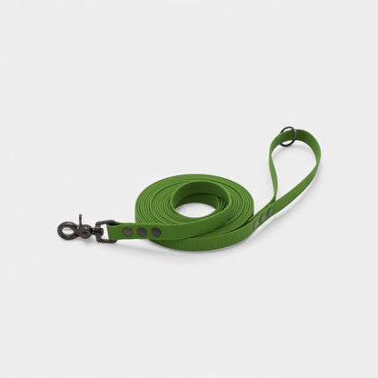 Hexa Dog Walking Leash - Olive
