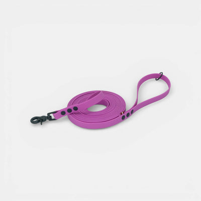 Hexa pastaigu pavada suņiem - Rozā