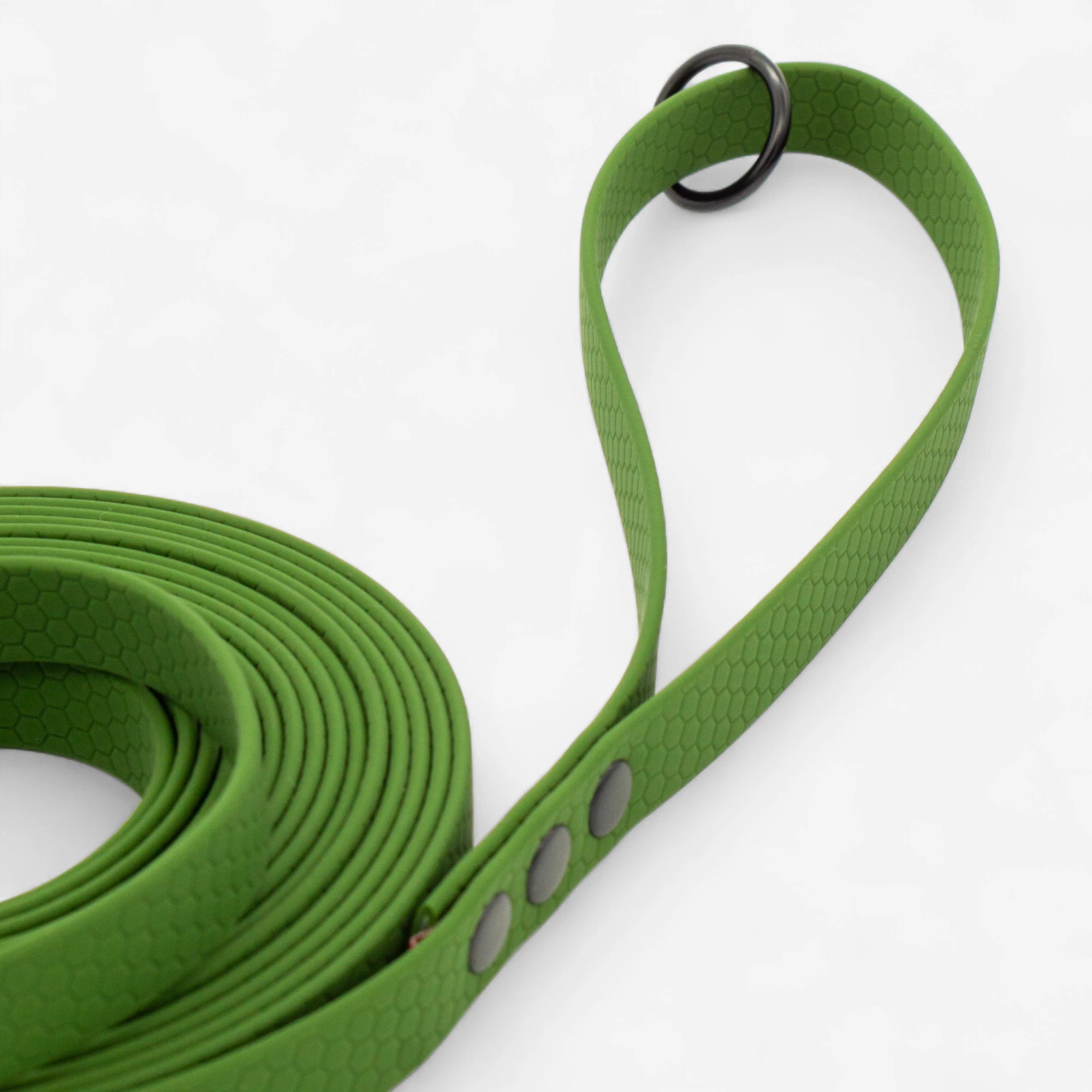 Hexa Dog Walking Leash - Olive