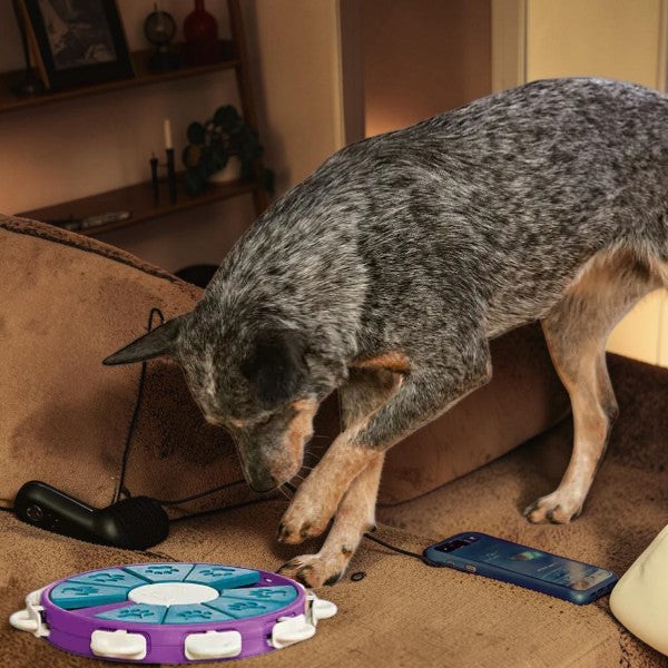 Nina Ottosson Dog Twister – 3. līmeņa prāta spēle suņiem
