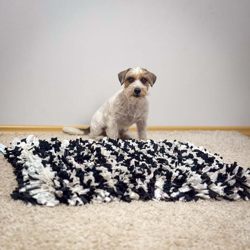 Dog sitting next to the Hea Hoog sniffing mat, designed for mental stimulation and social responsibility.