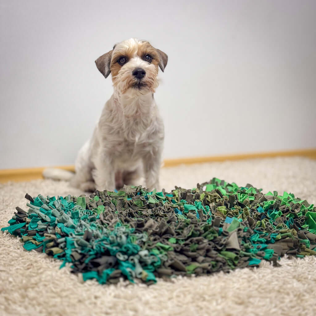 Dog sitting next to a green and brown sniffing mat for mental stimulation and play.