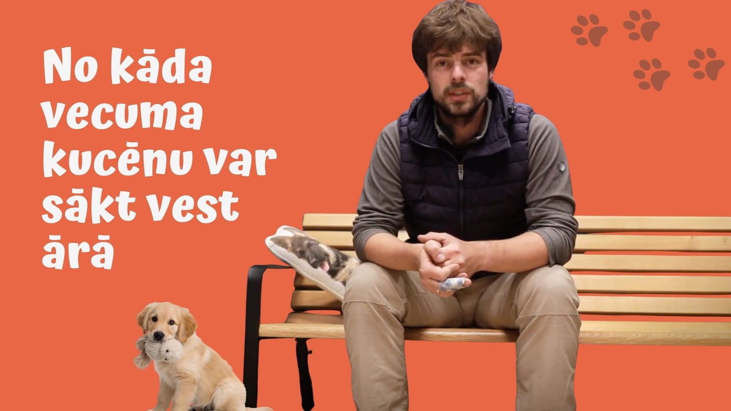 Kad drīkst vest kucēnu ārā? Vetārsti pret treneriem – kuram taisnība?