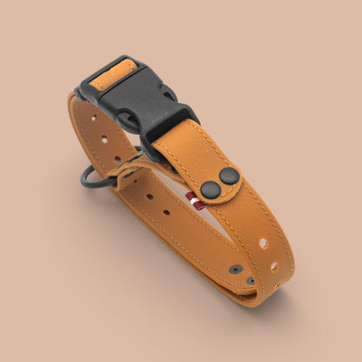 EasyFit ūdensdroša kakla siksna suņiem - Brūna