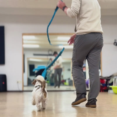 Rumla gara amortizējoša rotaļlieta ar bizi