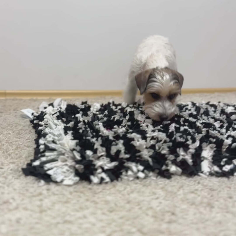A small dog sniffing a black and white snuffle mat designed for mental stimulation.
